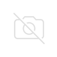 Disco Interno Ssd Kingston Fury Renegade 4tb M.2 G5 Nvme